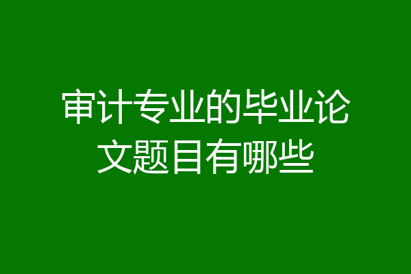审计专业的毕业论文题目有哪些