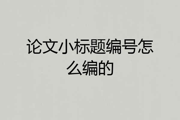 论文小标题编号怎么编的