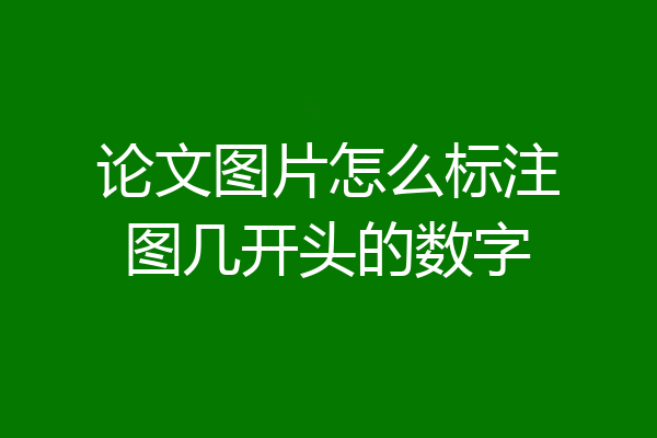 论文图片怎么标注图几开头的数字