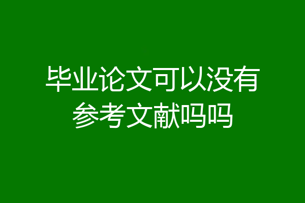毕业论文可以没有参考文献吗吗