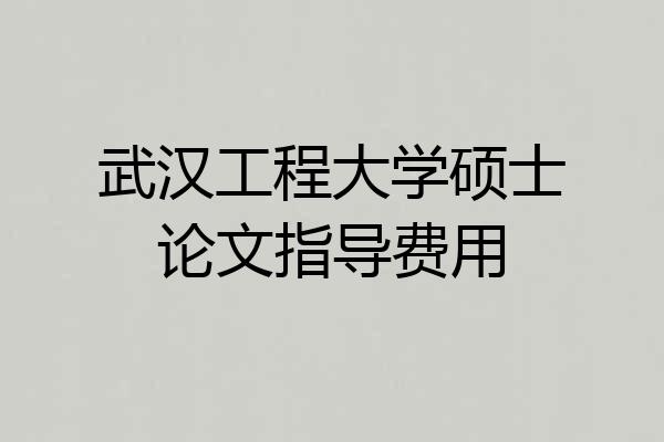 武汉工程大学硕士论文指导费用
