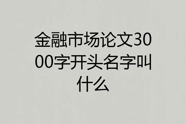 金融市场论文3000字开头名字叫什么