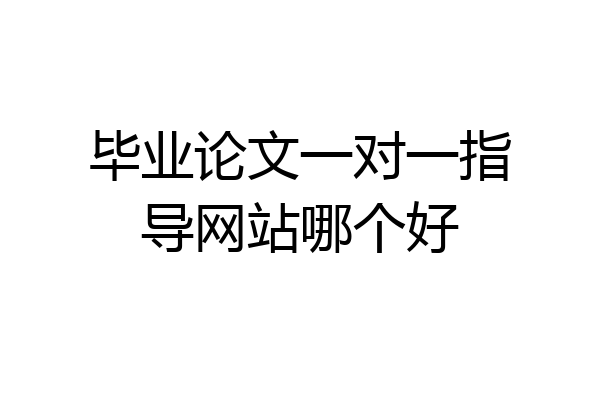 毕业论文一对一指导网站哪个好