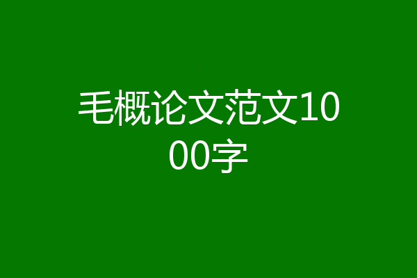 毛概论文范文1000字