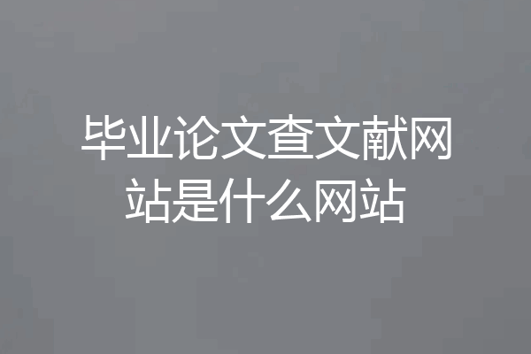 毕业论文查文献网站是什么网站