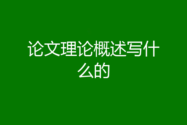 论文理论概述写什么的