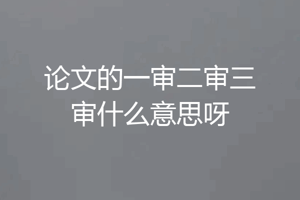 论文的一审二审三审什么意思呀