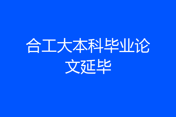 合工大本科毕业论文延毕