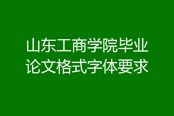 山东工商学院毕业论文格式字体要求