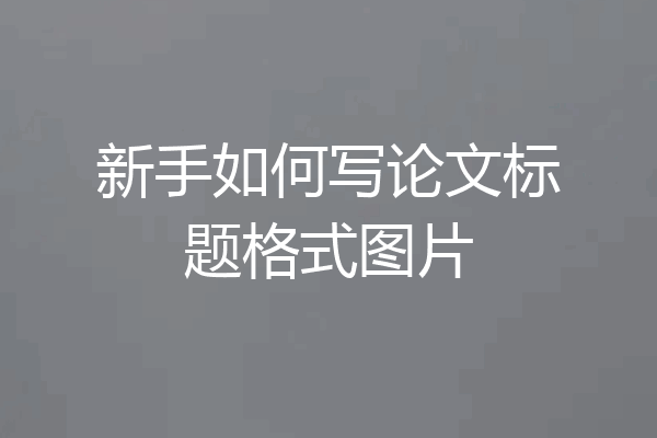 新手如何写论文标题格式图片