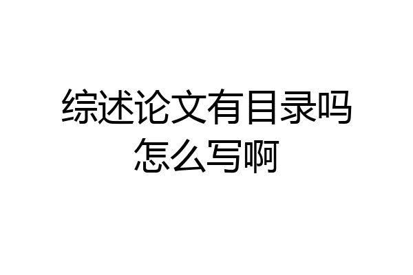 综述论文有目录吗怎么写啊