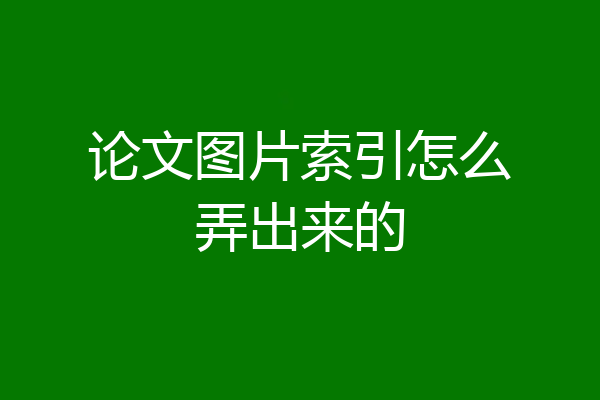 论文图片索引怎么弄出来的