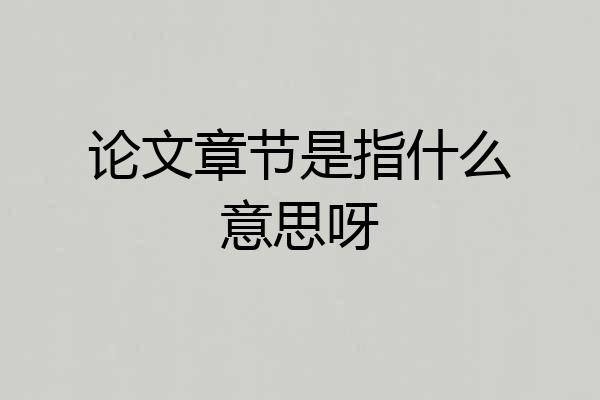 论文章节是指什么意思呀