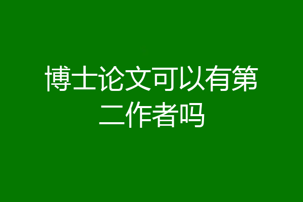 博士论文可以有第二作者吗