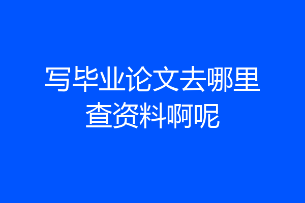 写毕业论文去哪里查资料啊呢