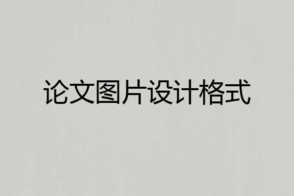 论文图片设计格式