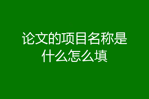 论文的项目名称是什么怎么填