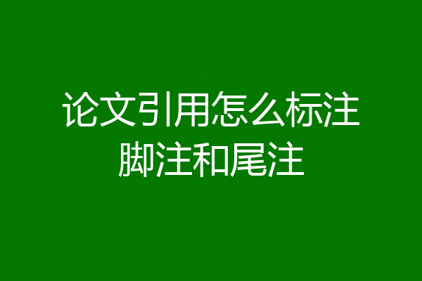 论文引用怎么标注脚注和尾注