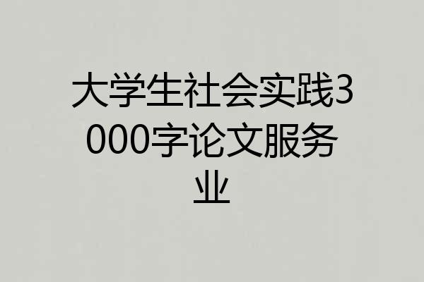 大学生社会实践3000字论文服务业