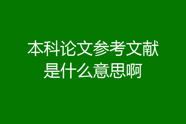 本科论文参考文献是什么意思啊