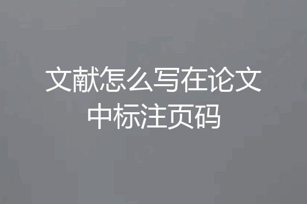 文献怎么写在论文中标注页码