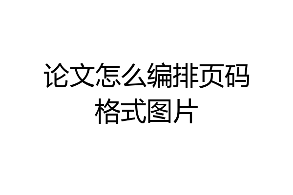 论文怎么编排页码格式图片