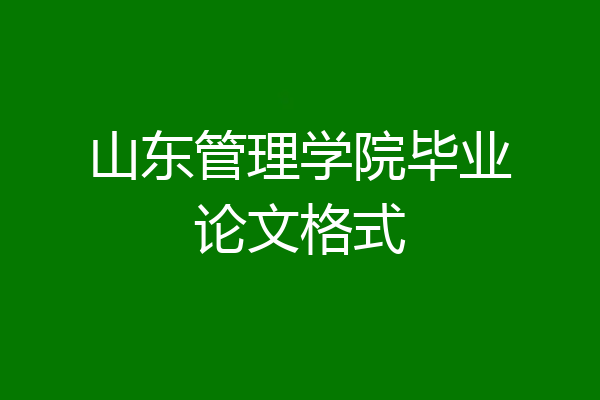 山东管理学院毕业论文格式