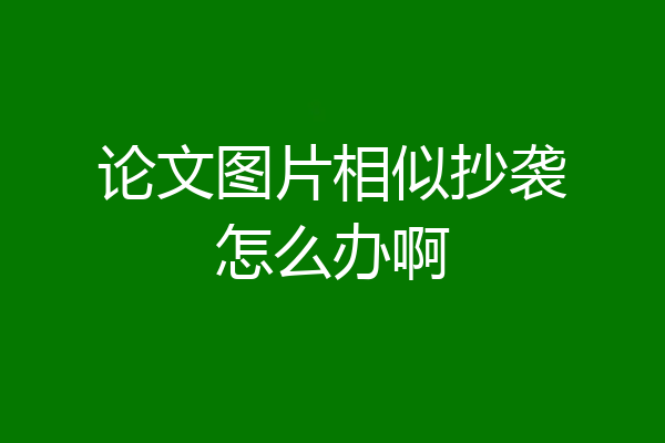 论文图片相似抄袭怎么办啊