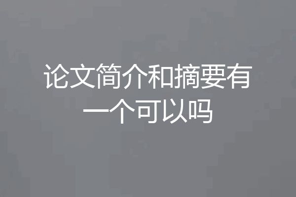 论文简介和摘要有一个可以吗
