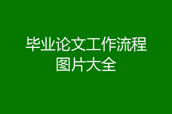 毕业论文工作流程图片大全