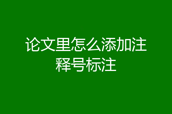 论文里怎么添加注释号标注