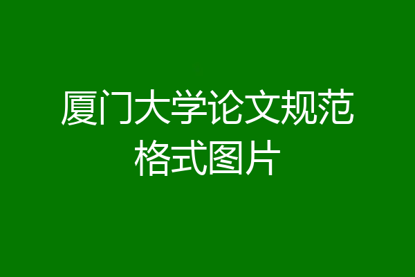 厦门大学论文规范格式图片