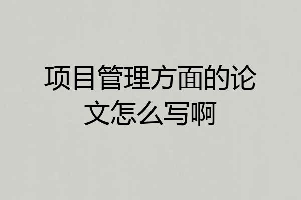 项目管理方面的论文怎么写啊