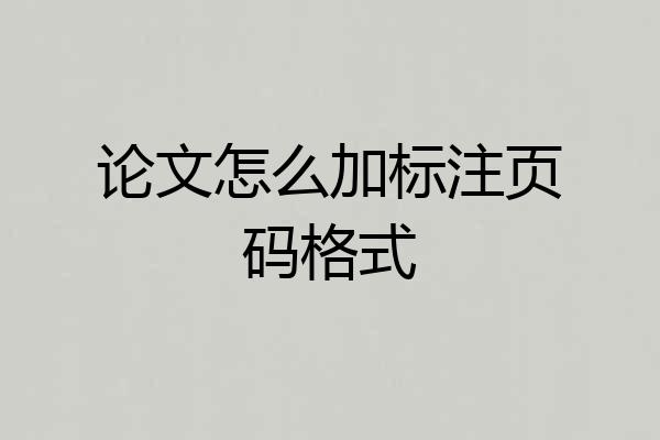 论文怎么加标注页码格式