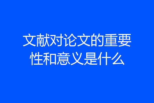 文献对论文的重要性和意义是什么