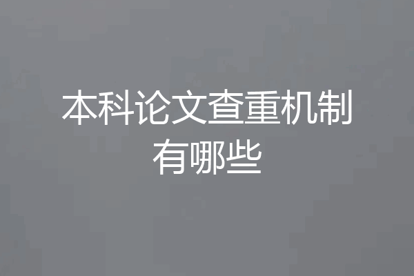 本科论文查重机制有哪些