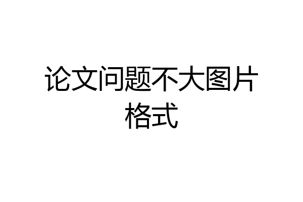 论文问题不大图片格式
