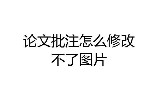 论文批注怎么修改不了图片