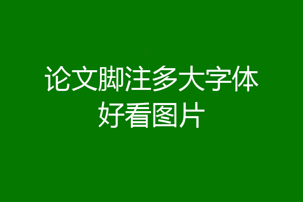 论文脚注多大字体好看图片