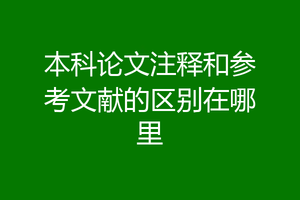 本科论文注释和参考文献的区别在哪里