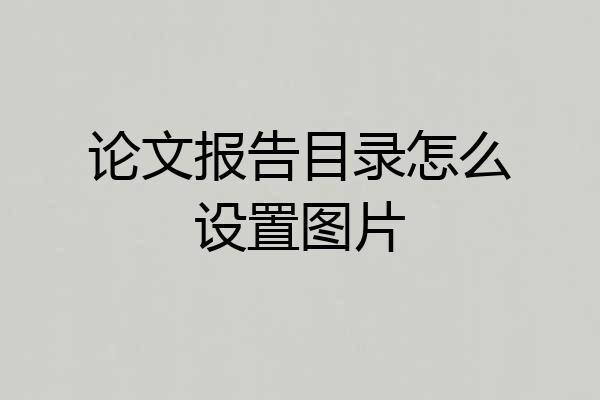 论文报告目录怎么设置图片