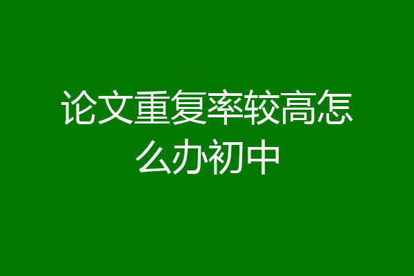 论文重复率较高怎么办初中