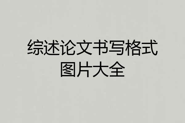 综述论文书写格式图片大全