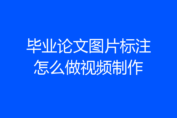毕业论文图片标注怎么做视频制作