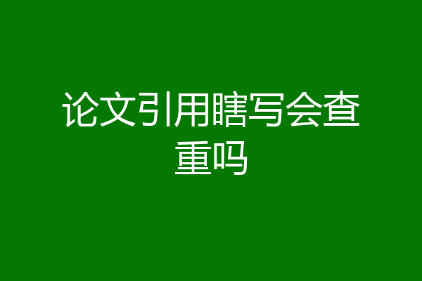 论文引用瞎写会查重吗