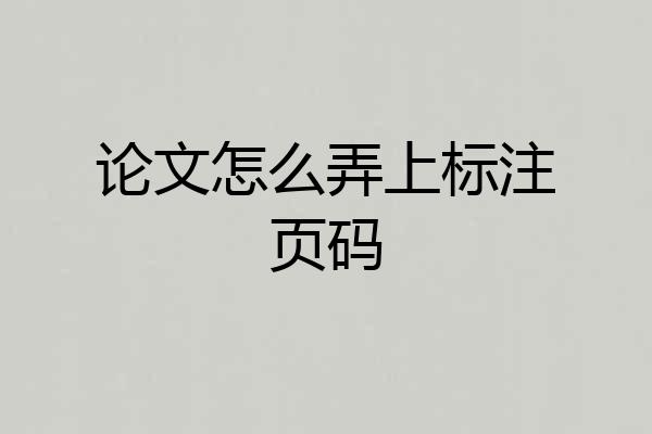 论文怎么弄上标注页码