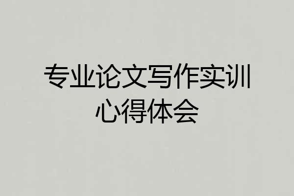 专业论文写作实训心得体会