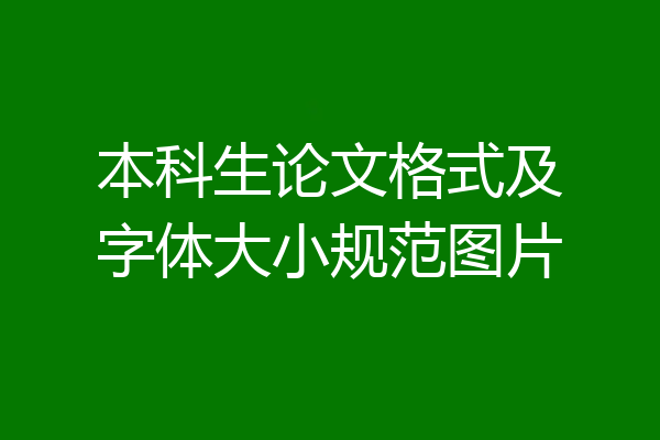 本科生论文格式及字体大小规范图片