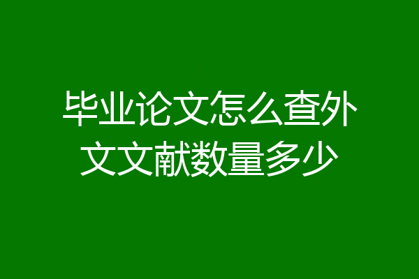 毕业论文怎么查外文文献数量多少