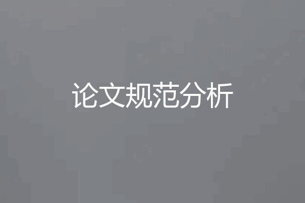 论文规范分析